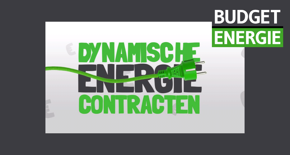 Budget Energie Dynamisch– wat voor tarieven ga ik betalen?