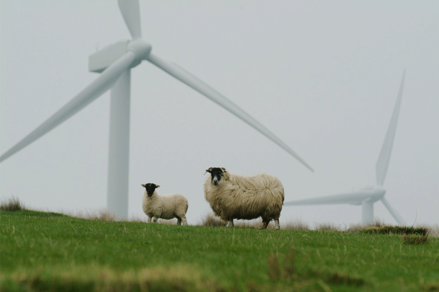 Stroomprijs voor dynamische energiecontracten vandaag erg hoog